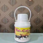 Chelated TRI-CAL DS GOLD